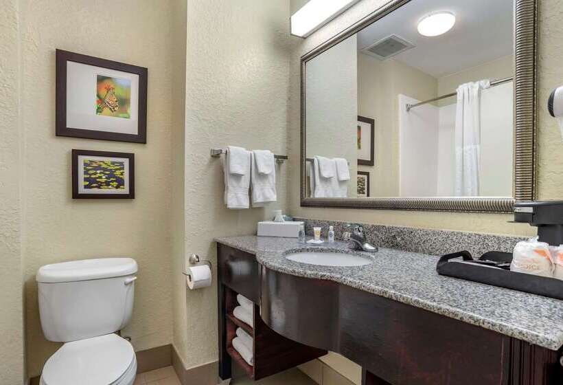 فندق Comfort Inn & Suites Marianna I 10