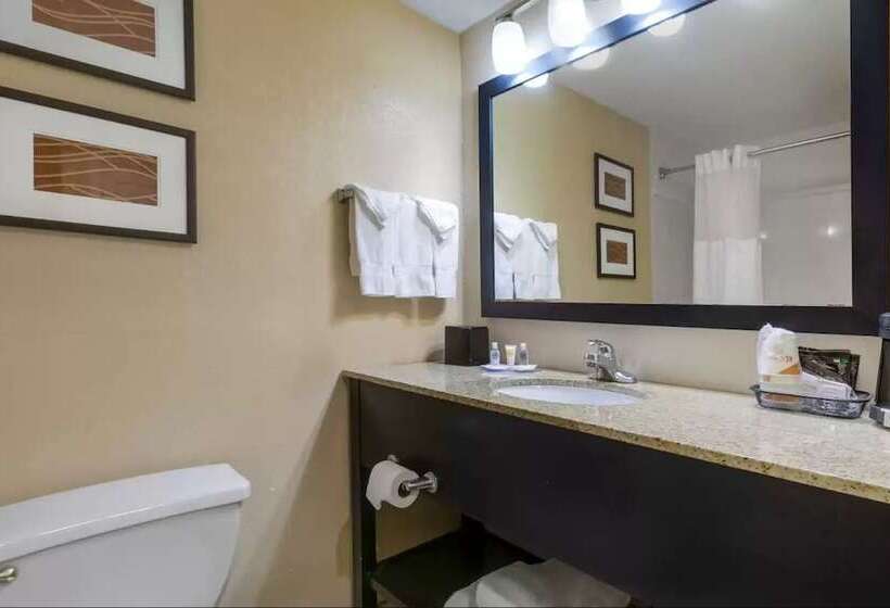 فندق Comfort Inn & Suites Peachtree Corners
