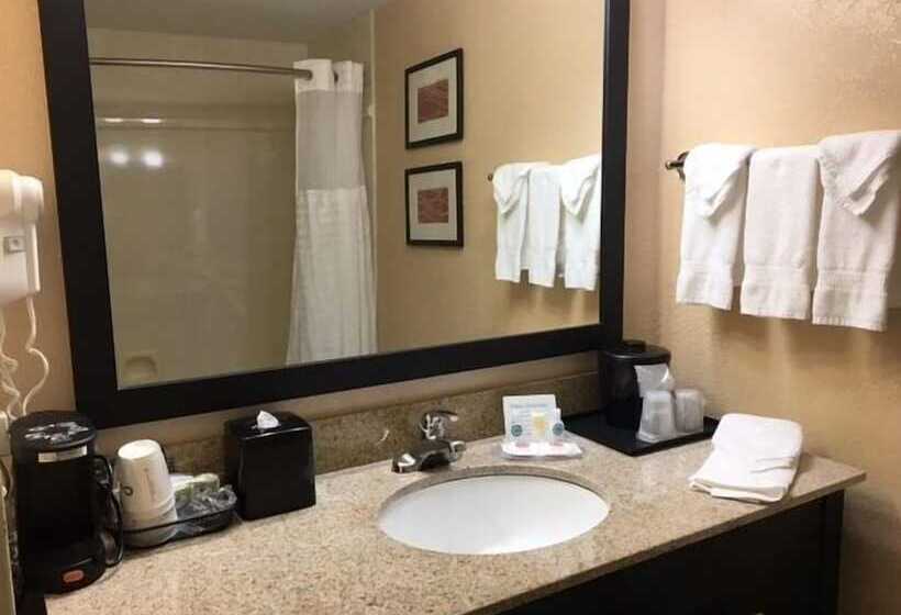 فندق Comfort Inn & Suites Peachtree Corners