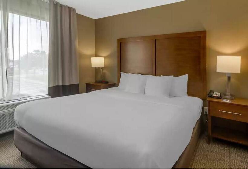 فندق Comfort Inn & Suites Peachtree Corners