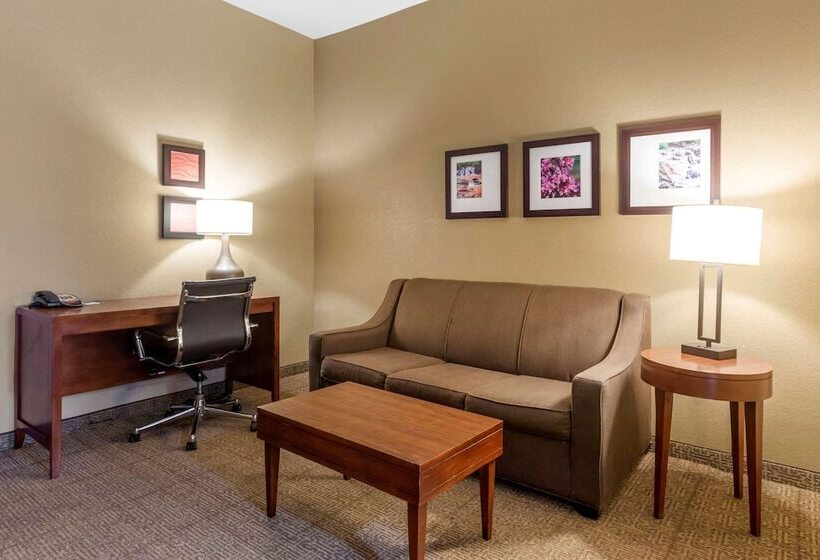 فندق Comfort Inn & Suites Peachtree Corners