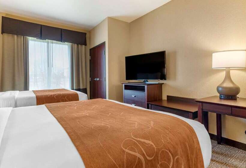 فندق Comfort Suites Airport South