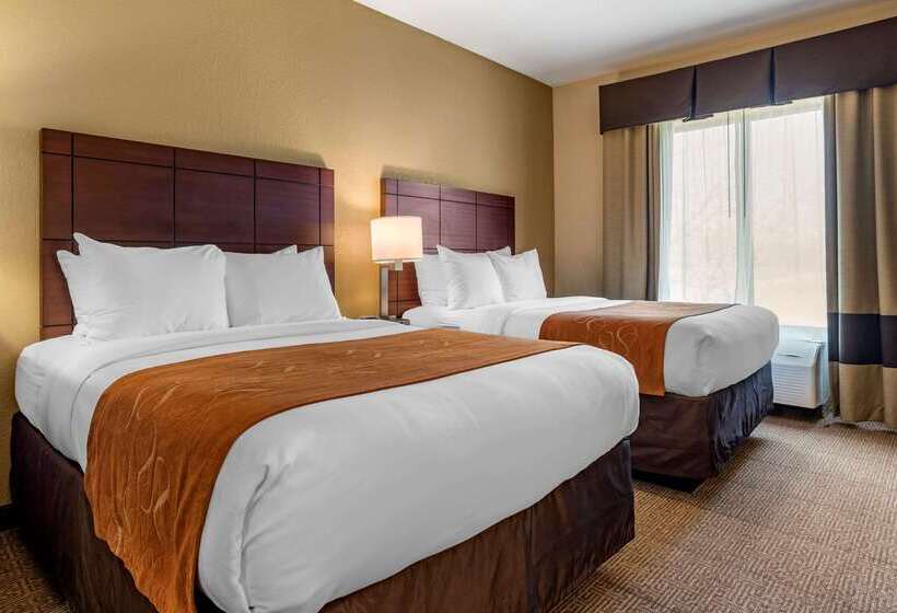 فندق Comfort Suites Airport South
