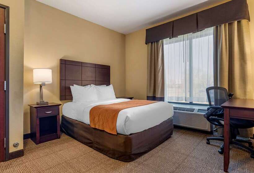 هتل Comfort Suites Airport South