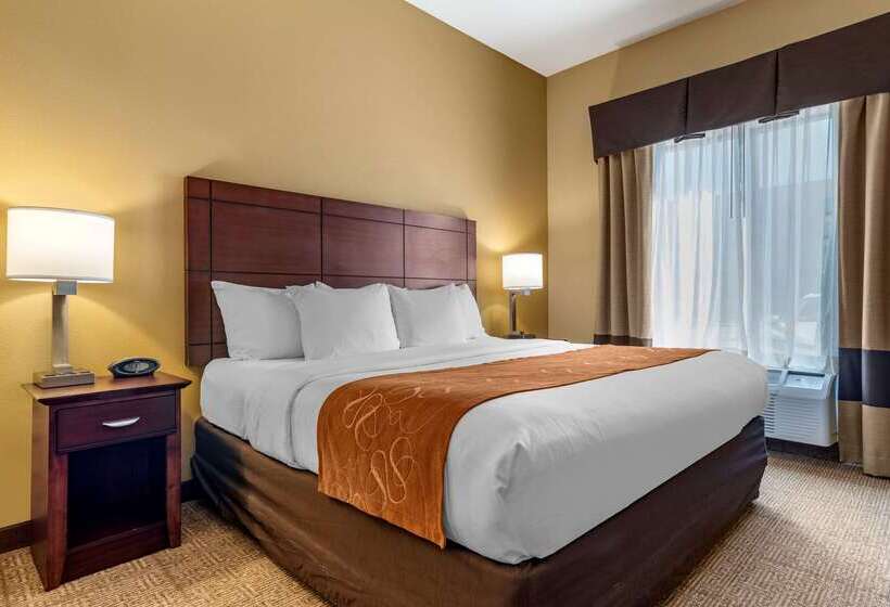 هتل Comfort Suites Airport South