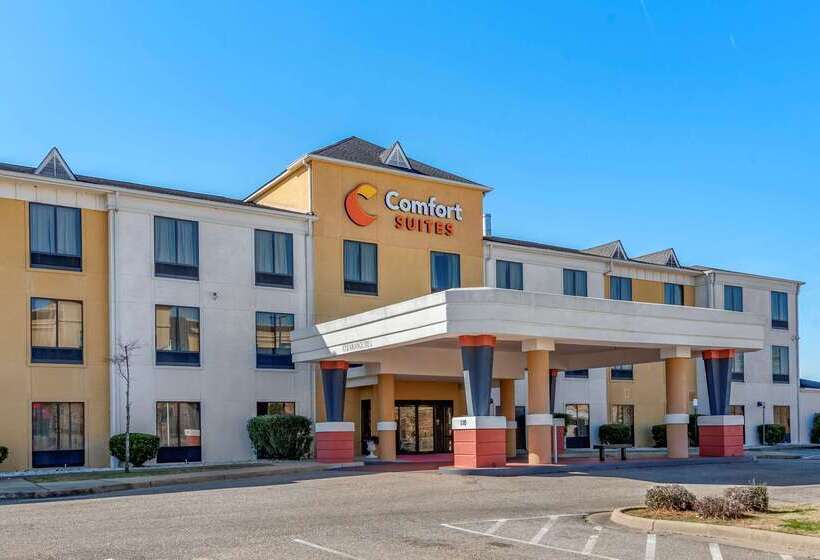 هتل Comfort Suites Airport South