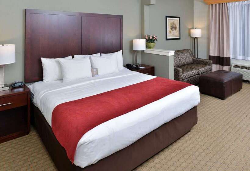 酒店 Comfort Suites Airport Tukwila Seattle
