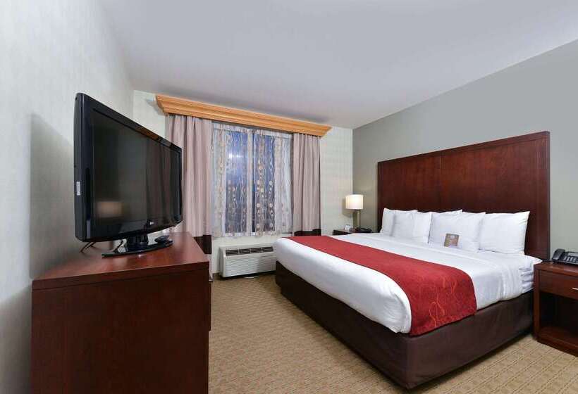 酒店 Comfort Suites Airport Tukwila Seattle