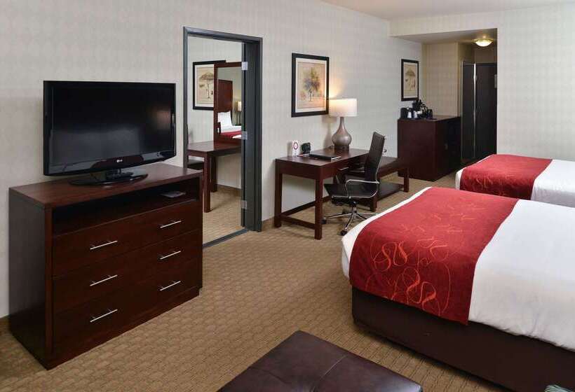 酒店 Comfort Suites Airport Tukwila Seattle