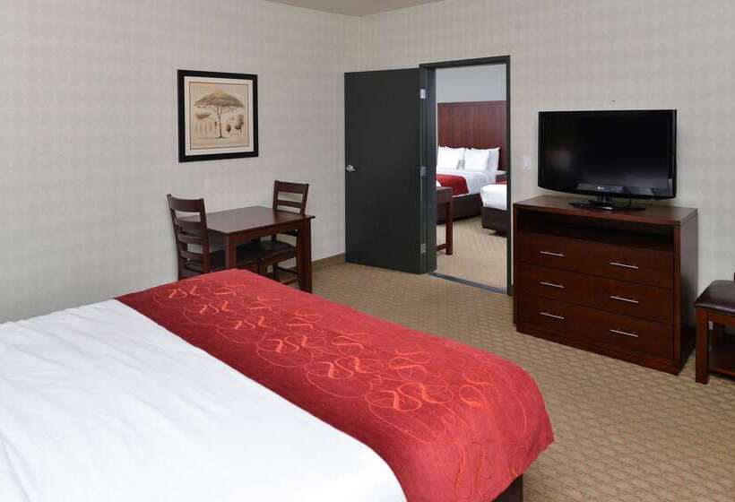酒店 Comfort Suites Airport Tukwila Seattle