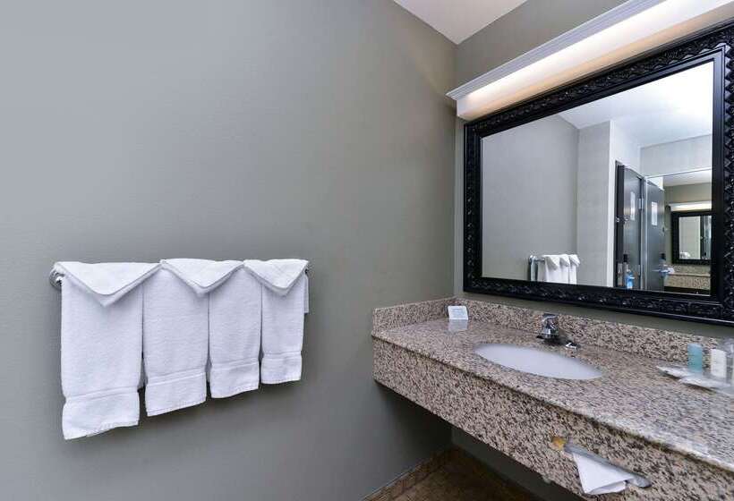 酒店 Comfort Suites Airport Tukwila Seattle