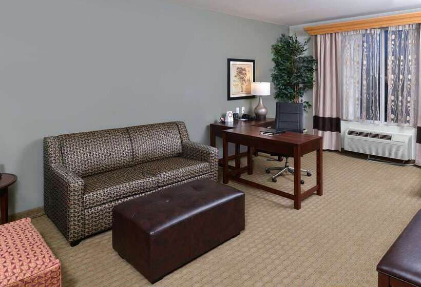 酒店 Comfort Suites Airport Tukwila Seattle