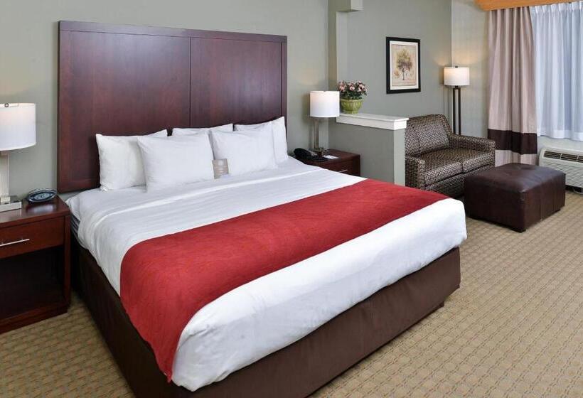 酒店 Comfort Suites Airport Tukwila Seattle