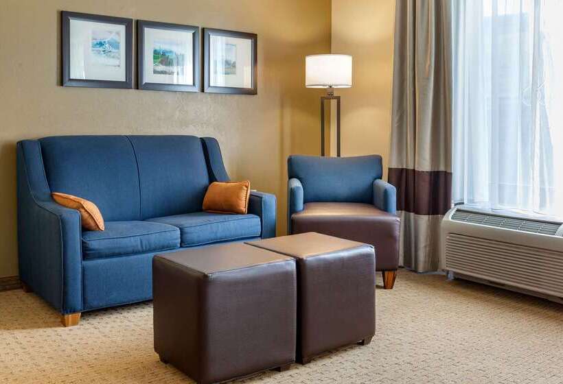 酒店 Comfort Suites Amish Country