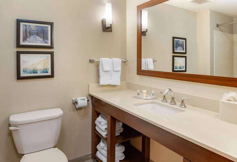 酒店 Comfort Suites Amish Country