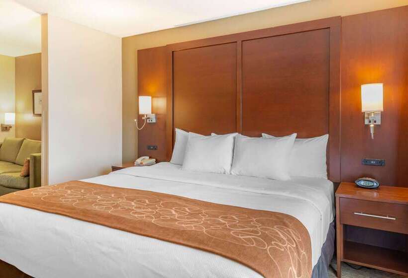 酒店 Comfort Suites Amish Country