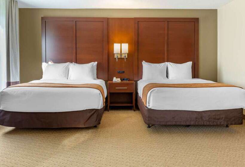酒店 Comfort Suites Amish Country