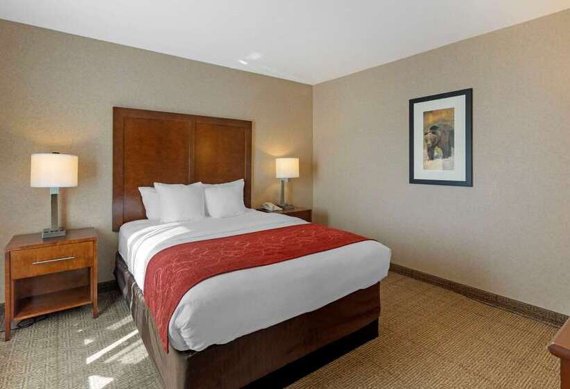 فندق Comfort Suites Anchorage International Airport
