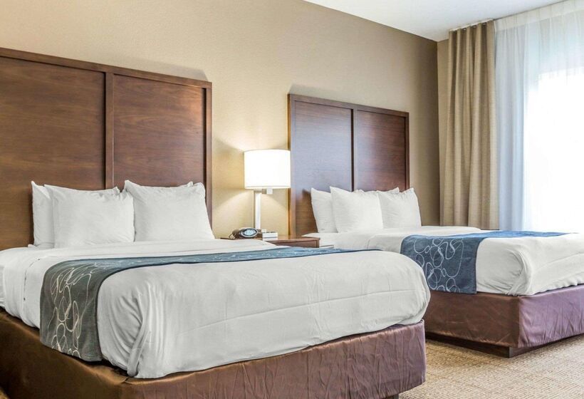 酒店 Comfort Suites At Isle Of Palms Connector