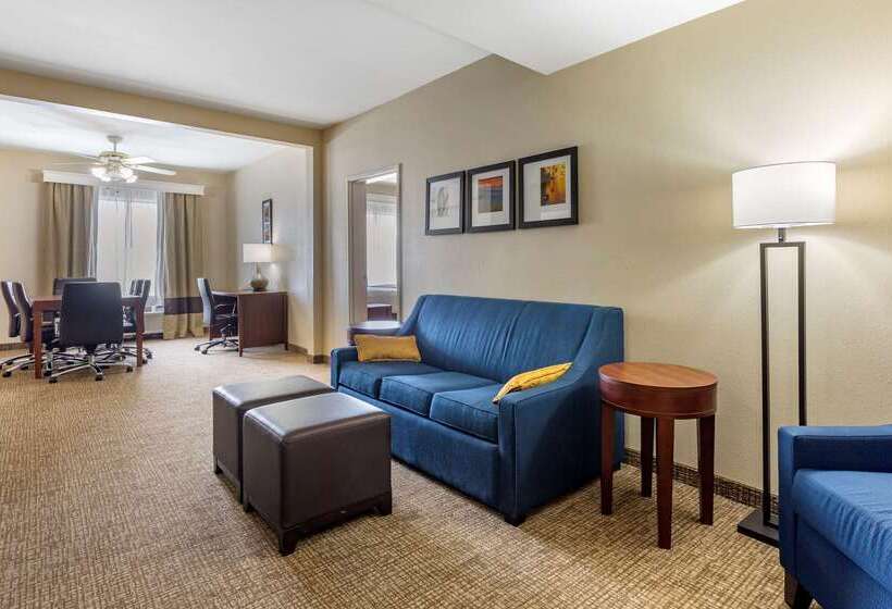 בית מלון כפרי Comfort Suites At Rivergate Mall