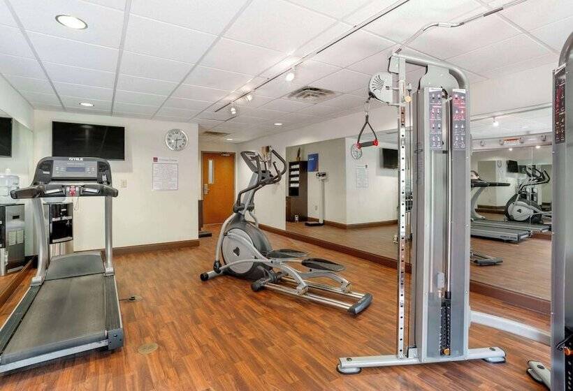 בית מלון כפרי Comfort Suites At Westgate Mall