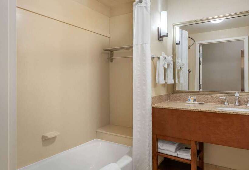 فندق Comfort Suites Barstow Near I15