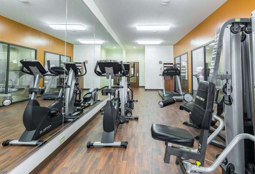 בית מלון כפרי Comfort Suites Beaumont I10