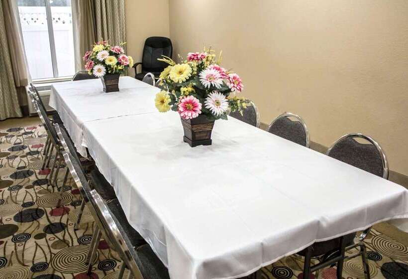 酒店 Comfort Suites Brunswick