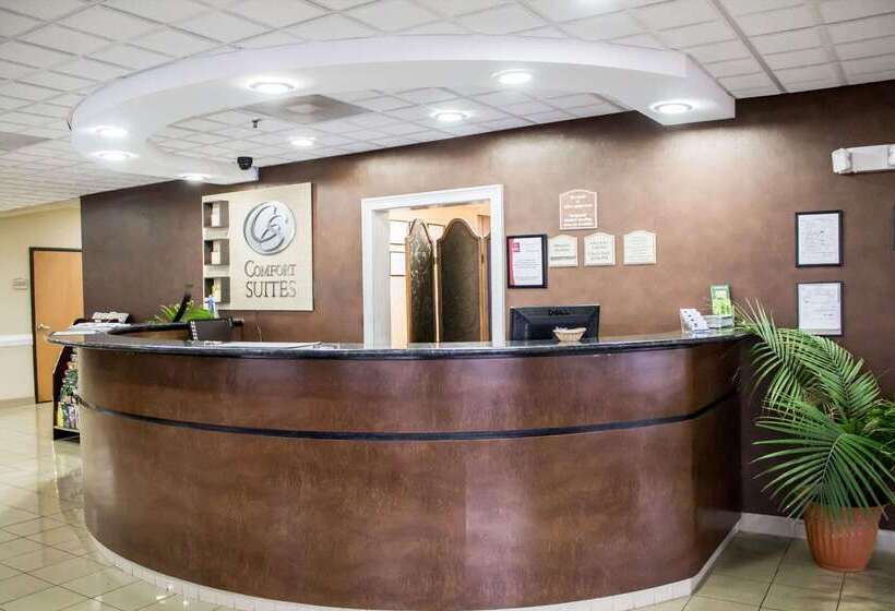 酒店 Comfort Suites Brunswick