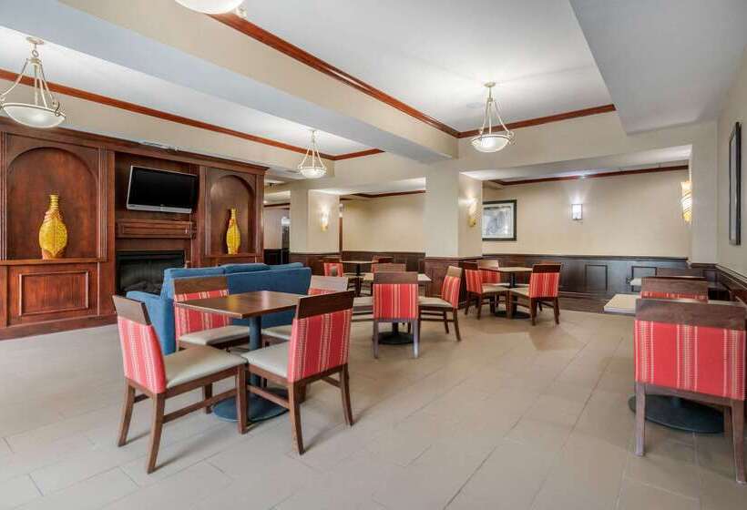 فندق Comfort Suites Central