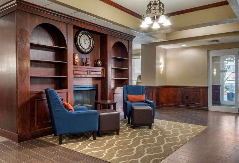 فندق Comfort Suites Central