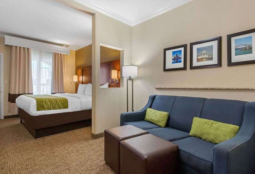 فندق Comfort Suites Central