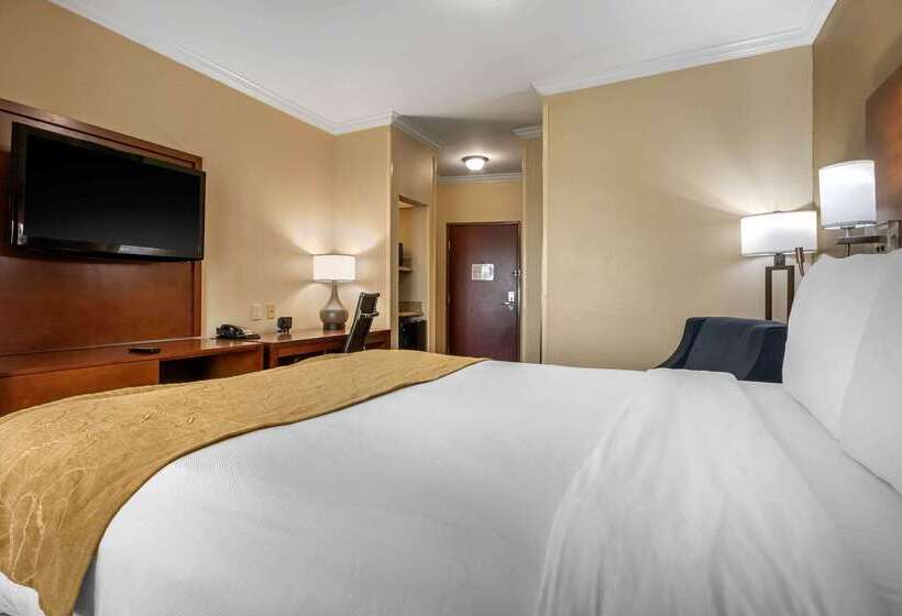 فندق Comfort Suites Central