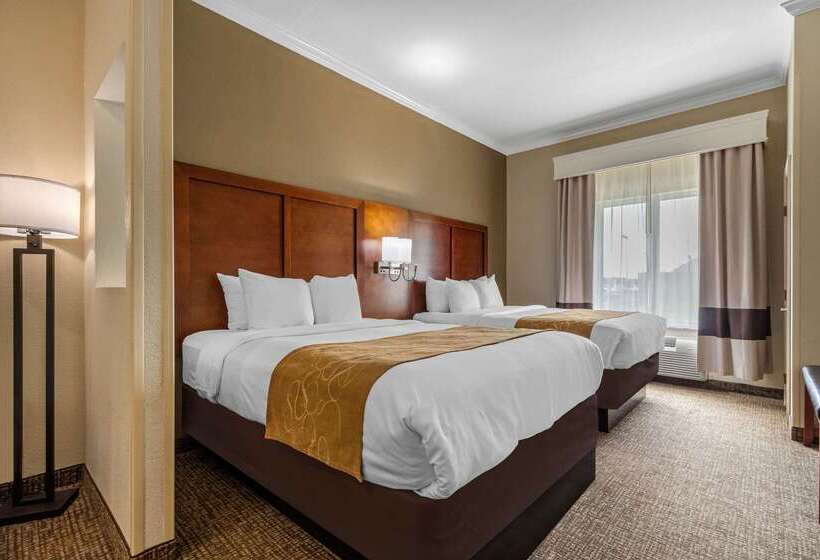 فندق Comfort Suites Central