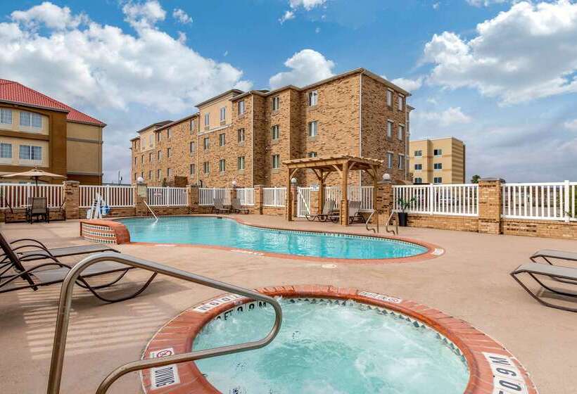 فندق Comfort Suites Central