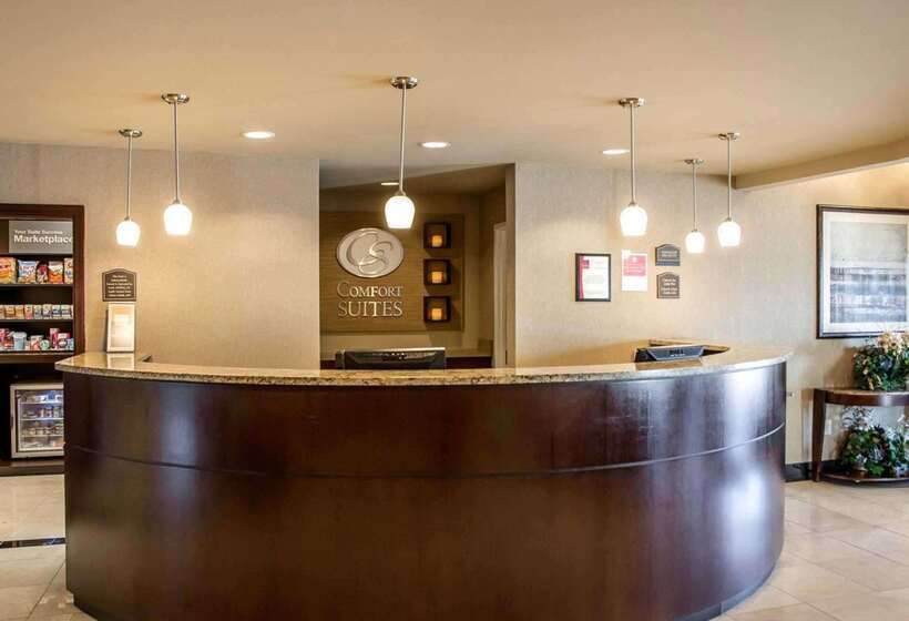 酒店 Comfort Suites Cincinnati North