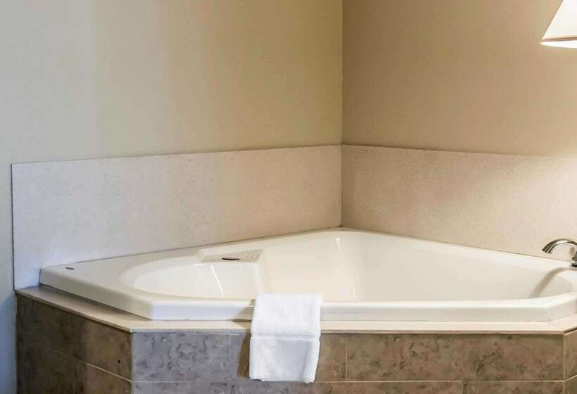 酒店 Comfort Suites Cincinnati North