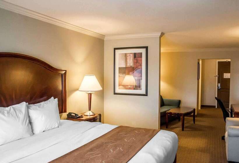 酒店 Comfort Suites Cincinnati North