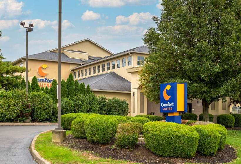 فندق Comfort Suites