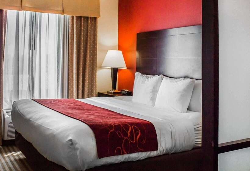 בית מלון כפרי Comfort Suites Columbus East Broad