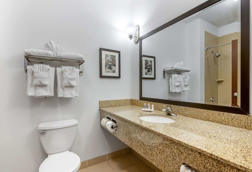 호텔 Comfort Suites Conference Center Rapid City