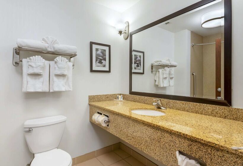 هتل Comfort Suites Conference Center Rapid City