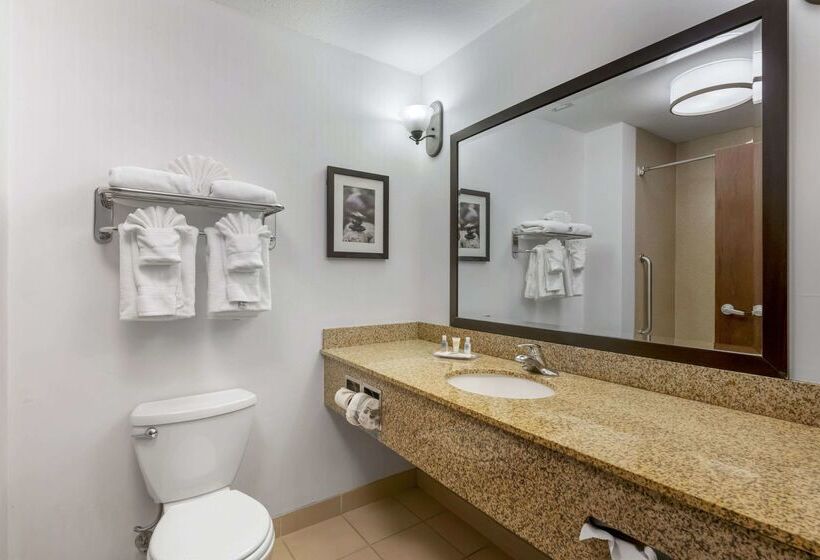هتل Comfort Suites Conference Center Rapid City