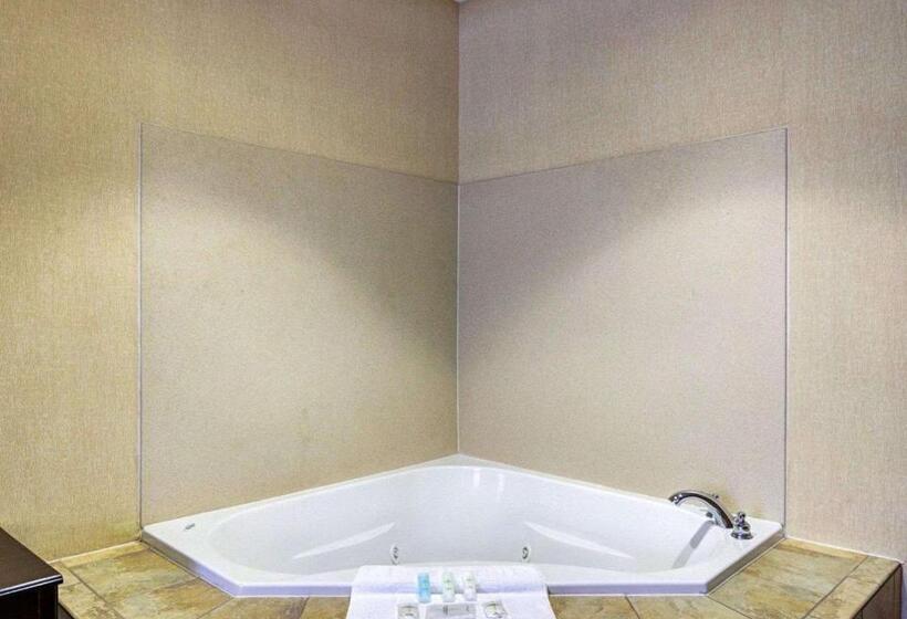 Отель Comfort Suites