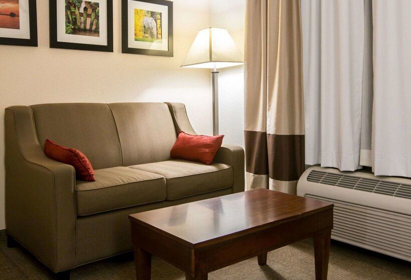 فندق Comfort Suites Cummingatlanta Near Northside Hospital Forsyth