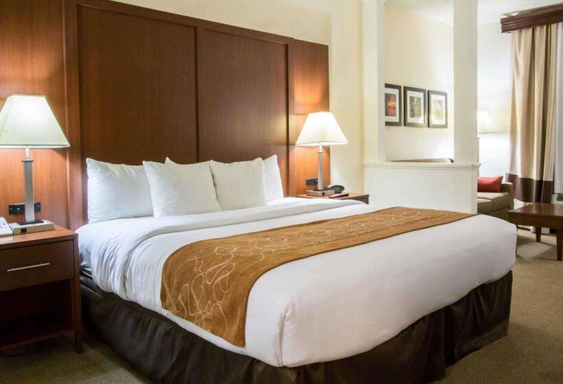فندق Comfort Suites Cummingatlanta Near Northside Hospital Forsyth