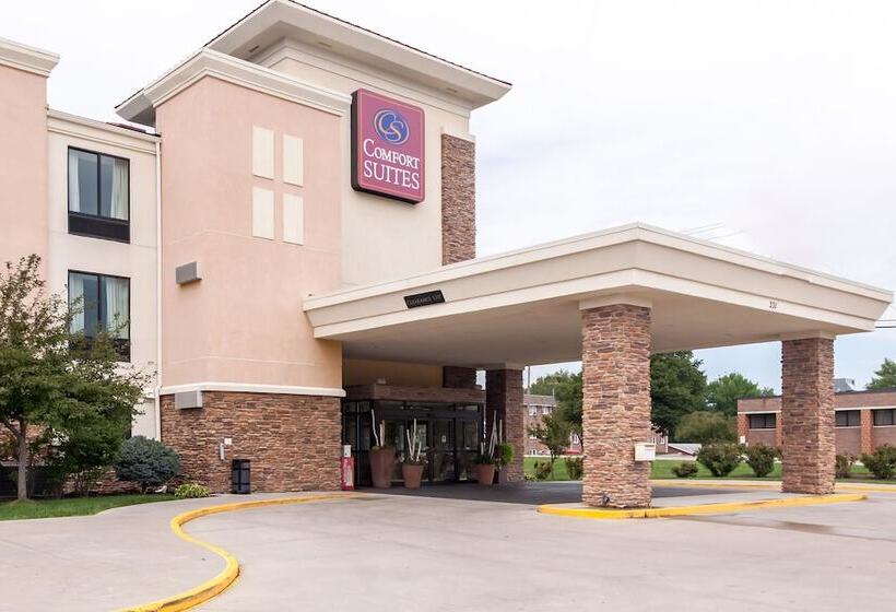 호텔 Comfort Suites East Lincoln Mall Area