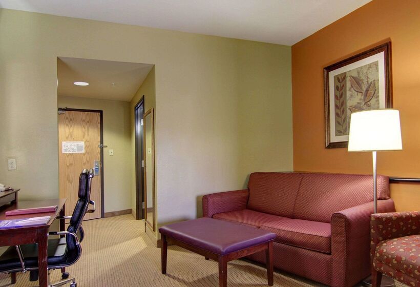 호텔 Comfort Suites El Paso West
