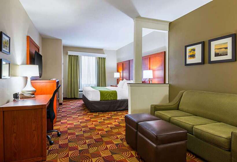 هتل Comfort Suites Lake Charles