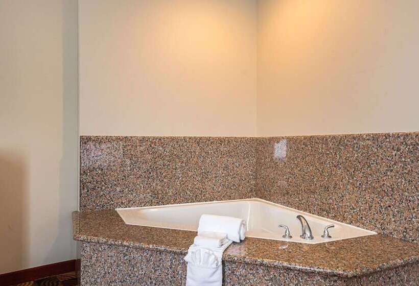 هتل Comfort Suites Lake Charles